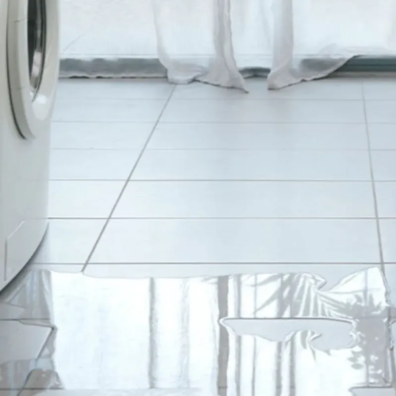 Appliance Leak Cleanup in Lynden, WA