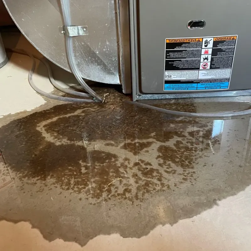 Pipe Burst and Leak Restoration in Lynden, WA